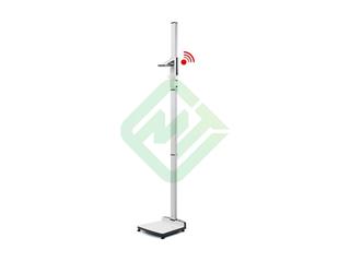 Весы медицинские Seca 285 с ростомером